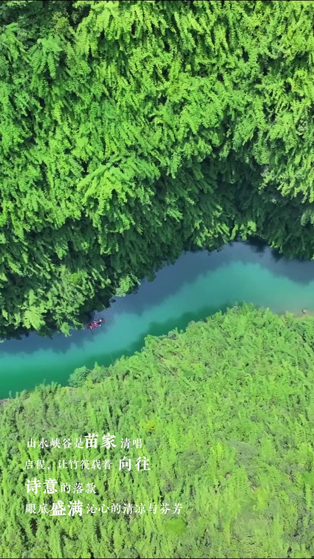 阿依河｜一汪碧水绕青山，苗歌声声入云端，这是阿依河的自然浪漫。#阿依河#娇阿依