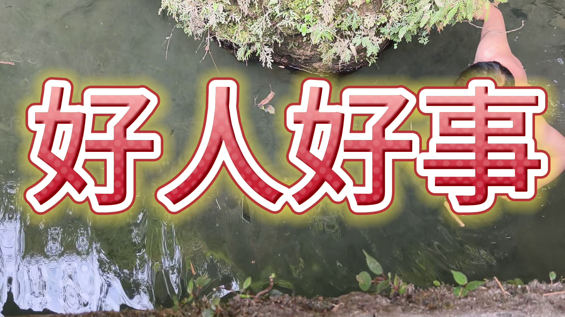 幸福中国·年味重庆｜温暖马年！重庆阿依河景区员工赵顺发，不惧寒冷，跳入水中为游客打捞落水手机。凡人善举，守护游客幸福旅程。为正能点赞 #重庆年味 #阿依河好人好事 #春节里的温暖