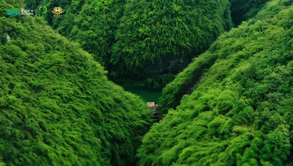 阿依 “6 必”行，玩转苗乡情， 我在阿依河等你！＃重庆文旅集团＃阿依河#娇阿依